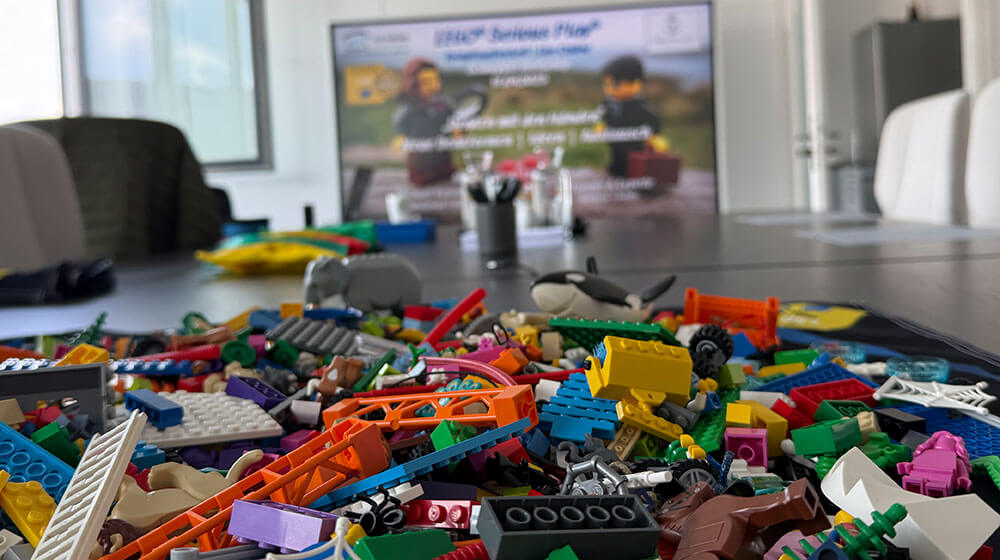 Lego Serious Play Workshop